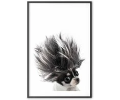 Artgeist Plakatas - Chihuahua
