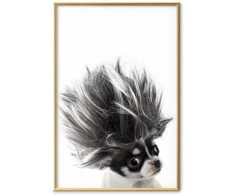 Artgeist Plakatas - Chihuahua