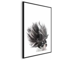Artgeist Plakatas - Chihuahua