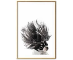 Artgeist Plakatas - Chihuahua