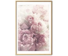 Artgeist Plakatas - Delicate Peonies