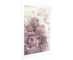 Artgeist Plakatas - Delicate Peonies