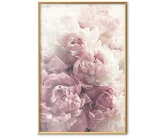 Artgeist Plakatas - Delicate Peonies