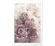 Artgeist Plakatas - Delicate Peonies