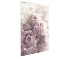 Artgeist Plakatas - Delicate Peonies