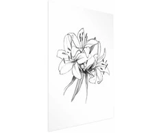 Artgeist Plakatas - Drawn Flowers
