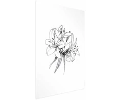 Artgeist Plakatas - Drawn Flowers