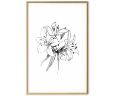 Artgeist Plakatas - Drawn Flowers