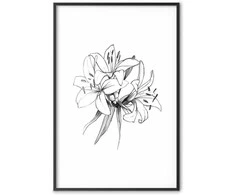 Artgeist Plakatas - Drawn Flowers