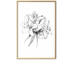 Artgeist Plakatas - Drawn Flowers
