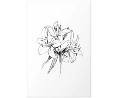 Artgeist Plakatas - Drawn Flowers