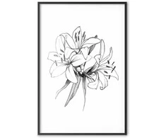 Artgeist Plakatas - Drawn Flowers