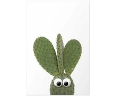 Artgeist Plakatas - Eared Cactus