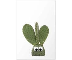 Artgeist Plakatas - Eared Cactus
