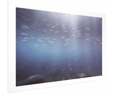 Artgeist Plakatas - Fish in the Depths
