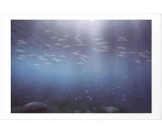 Artgeist Plakatas - Fish in the Depths