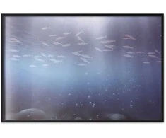 Artgeist Plakatas - Fish in the Depths
