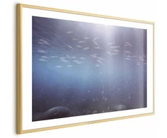 Artgeist Plakatas - Fish in the Depths