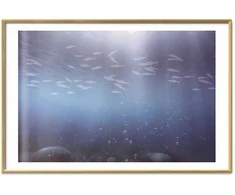 Artgeist Plakatas - Fish in the Depths