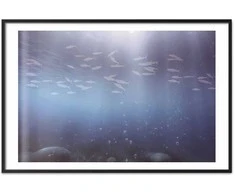 Artgeist Plakatas - Fish in the Depths