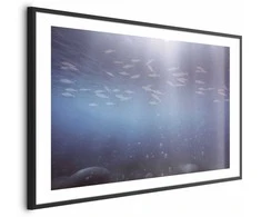 Artgeist Plakatas - Fish in the Depths