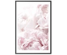 Artgeist Plakatas - Fluffy Peonies