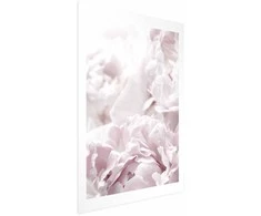 Artgeist Plakatas - Fluffy Peonies