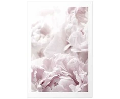 Artgeist Plakatas - Fluffy Peonies
