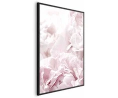 Artgeist Plakatas - Fluffy Peonies