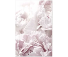 Artgeist Plakatas - Fluffy Peonies