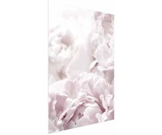 Artgeist Plakatas - Fluffy Peonies