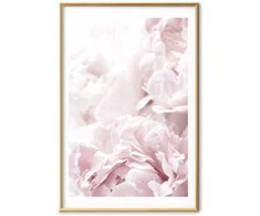 Artgeist Plakatas - Fluffy Peonies
