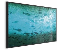 Artgeist Plakatas - Group of Dark Fish