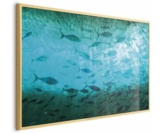 Artgeist Plakatas - Group of Dark Fish