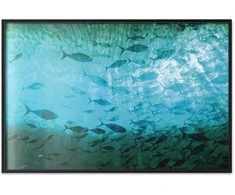 Artgeist Plakatas - Group of Dark Fish