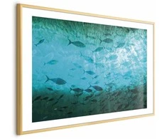 Artgeist Plakatas - Group of Dark Fish