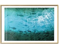 Artgeist Plakatas - Group of Dark Fish