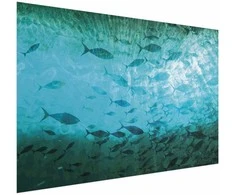 Artgeist Plakatas - Group of Dark Fish
