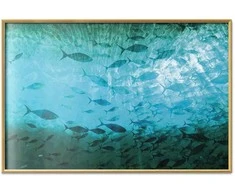 Artgeist Plakatas - Group of Dark Fish