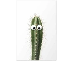Artgeist Plakatas - Living Cactus