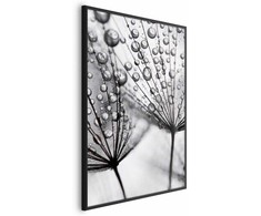 Artgeist Plakatas - Macro Dew