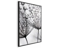 Artgeist Plakatas - Macro Dew