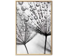 Artgeist Plakatas - Macro Dew