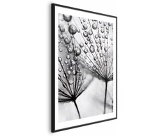 Artgeist Plakatas - Macro Dew