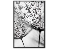 Artgeist Plakatas - Macro Dew