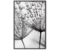 Artgeist Plakatas - Macro Dew