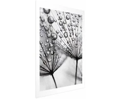 Artgeist Plakatas - Macro Dew
