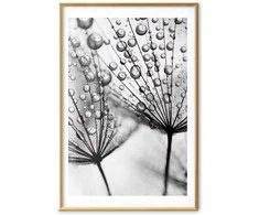 Artgeist Plakatas - Macro Dew