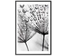 Artgeist Plakatas - Macro Dew