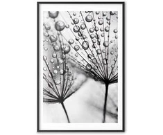 Artgeist Plakatas - Macro Dew